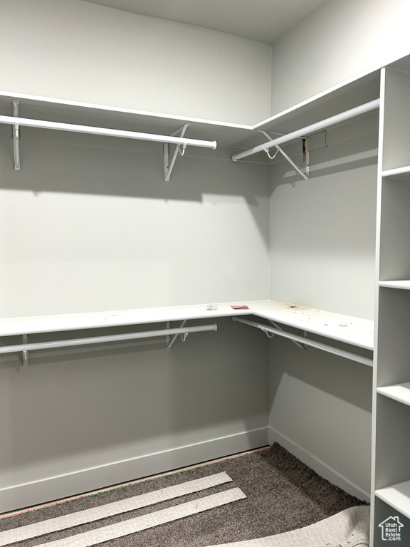 Spacious closet featuring built in study area and carpet floors