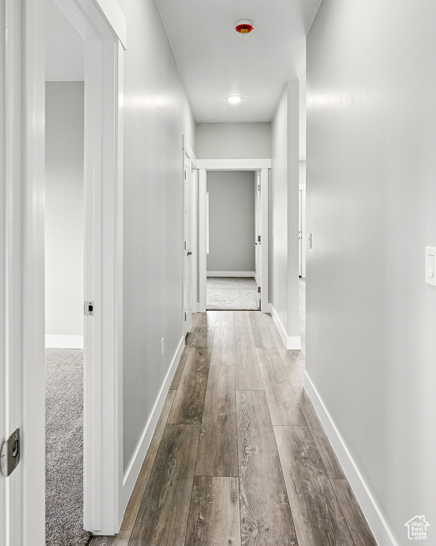 Hall with wood finished floors and baseboards