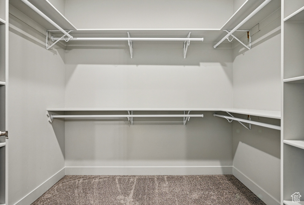Walk in closet with carpet flooring