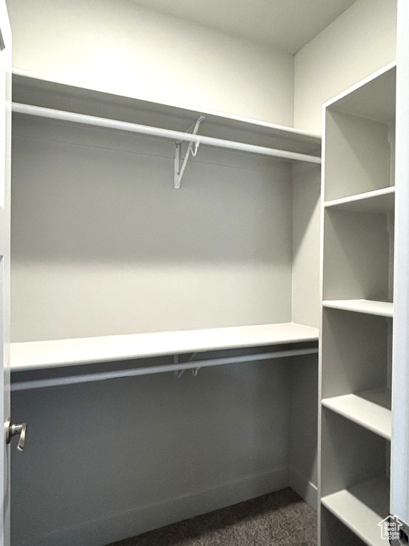 Spacious closet featuring dark carpet