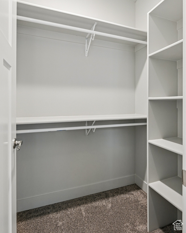 Walk in closet with dark carpet