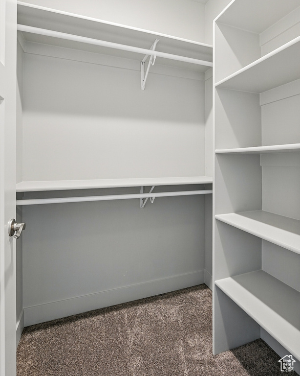 Spacious closet featuring carpet