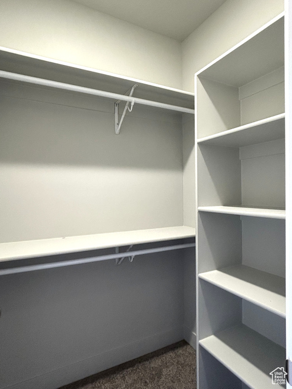 Walk in closet with dark carpet