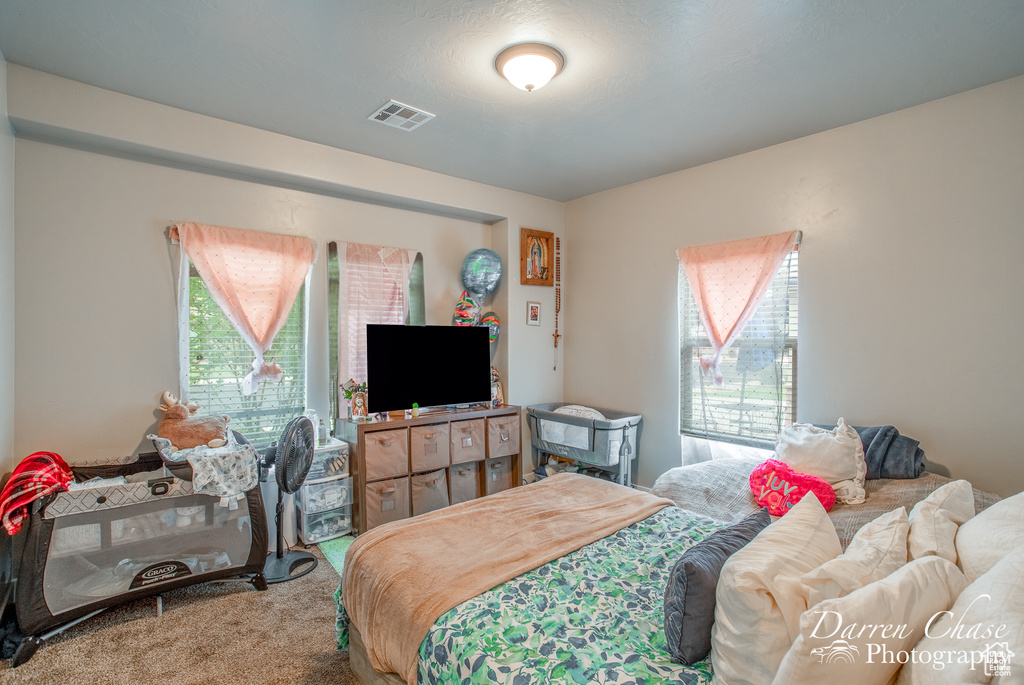 Carpeted bedroom featuring visible vents and multiple windows