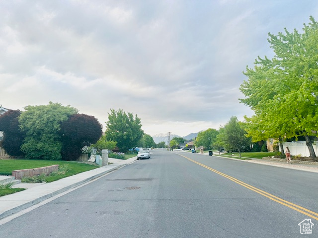 View of road featuring curbs and sidewalks