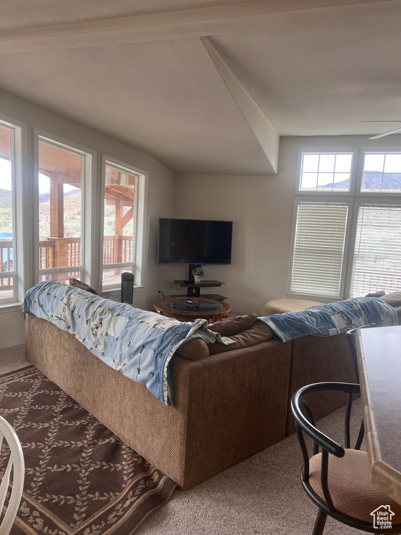 Living room featuring carpet flooring