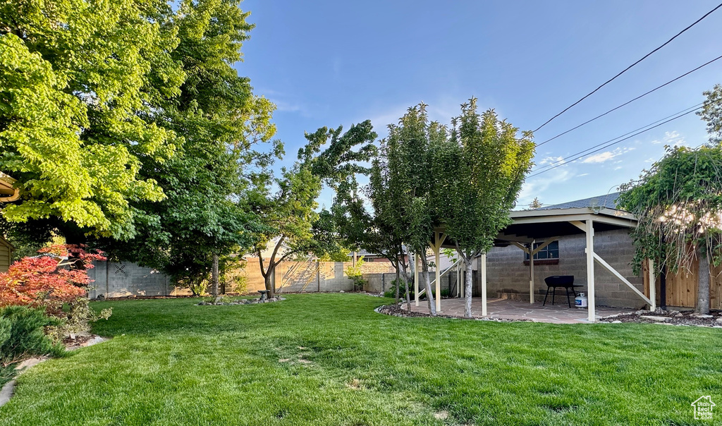 View of yard with a patio area
