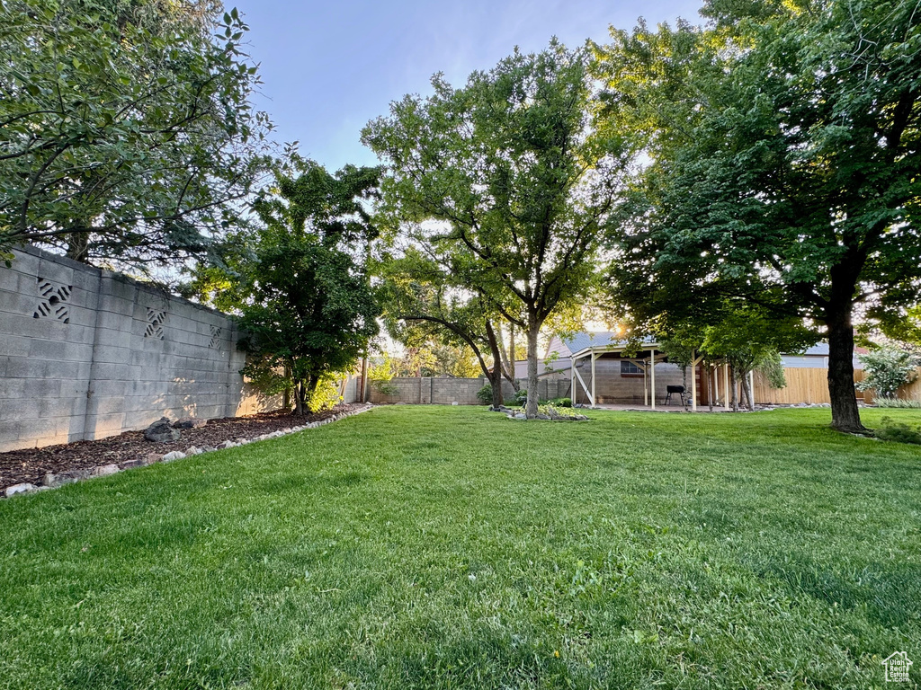 View of yard