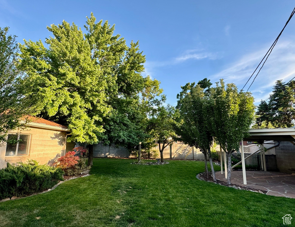 View of yard with a patio