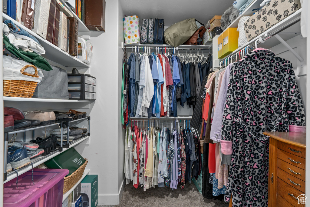 Walk in closet featuring carpet floors