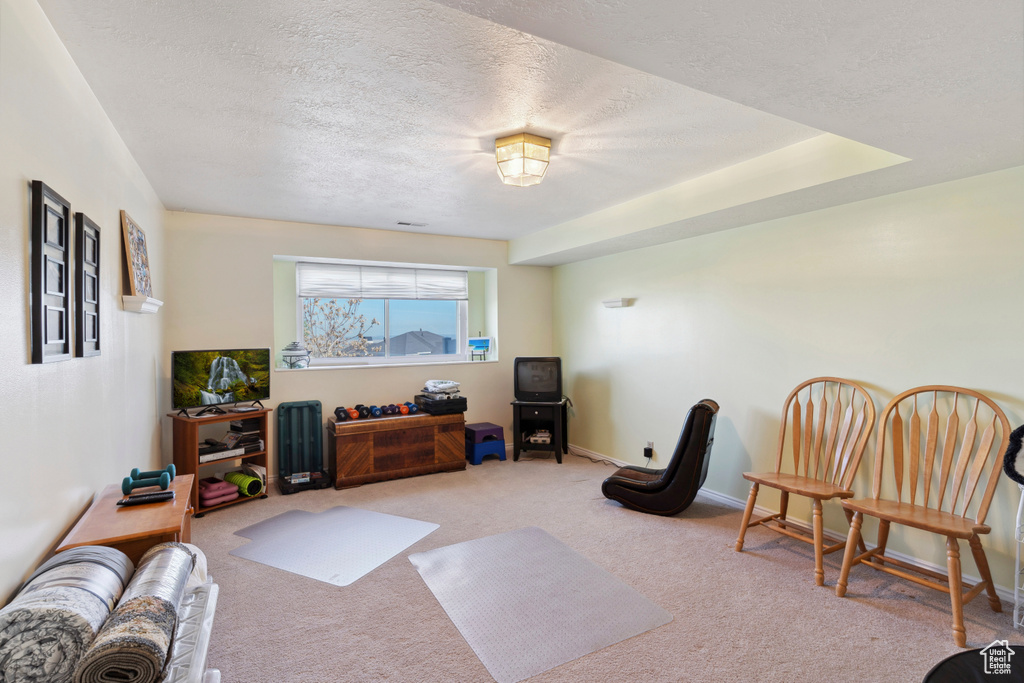 Living room featuring baseboards, carpet flooring, and a textured ceiling