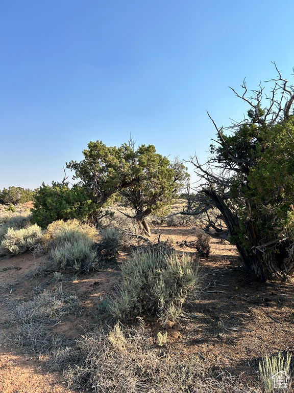 18687 W SMILEY RD Duchesne, UT 84021