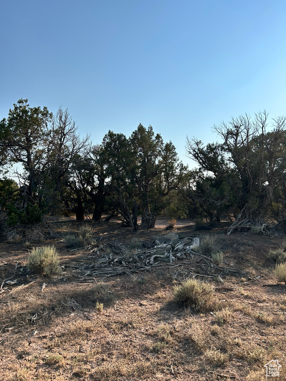 18687 W SMILEY RD Duchesne, UT 84021