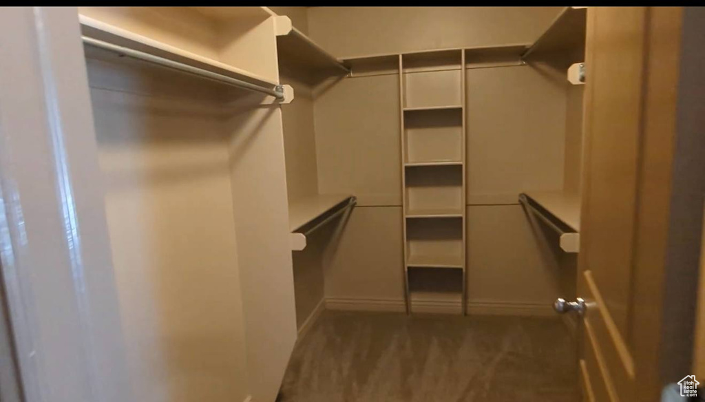 Walk in closet with carpet