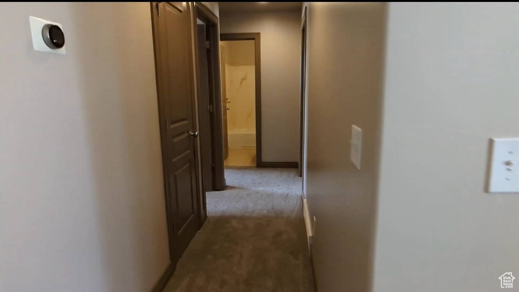 Hall featuring carpet floors