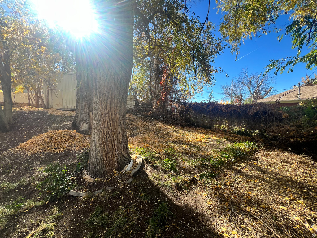 117 W 3000 S Bountiful, UT 84010