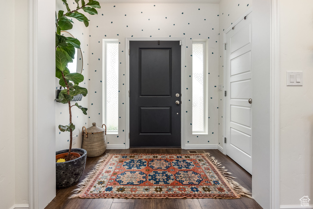 Foyer featuring a healthy amount of sunlight and dark wood-style flooring
