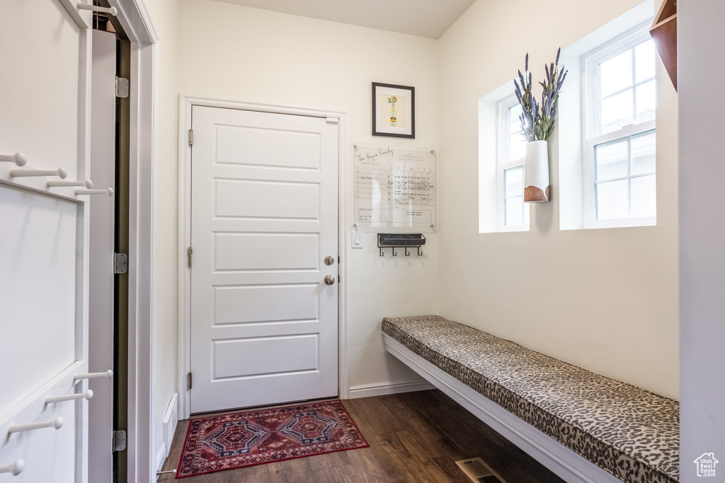 Mudroom featuring plenty of natural light, baseboards, visible vents, and dark wood-style flooring