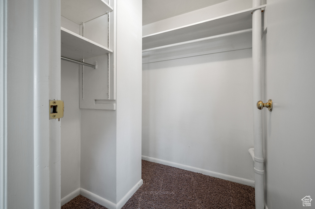 Spacious closet with carpet flooring