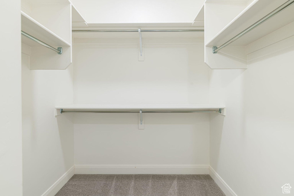 Spacious closet with carpet flooring