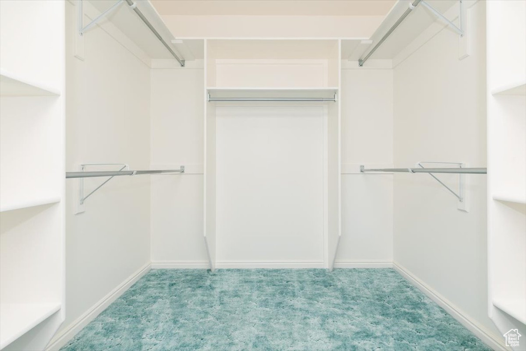 Spacious closet with light carpet