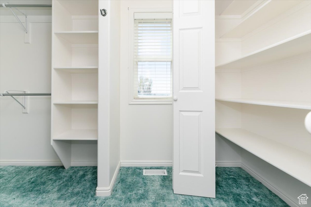 Walk in closet featuring carpet flooring