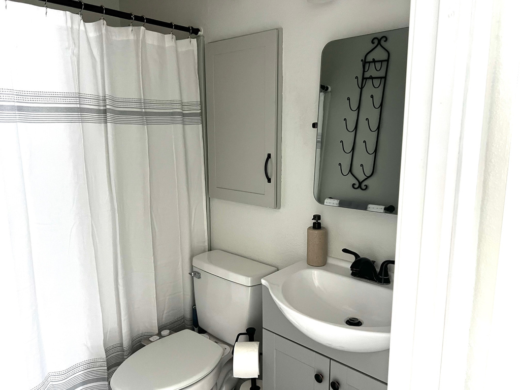 Bathroom with vanity, curtained shower, and toilet