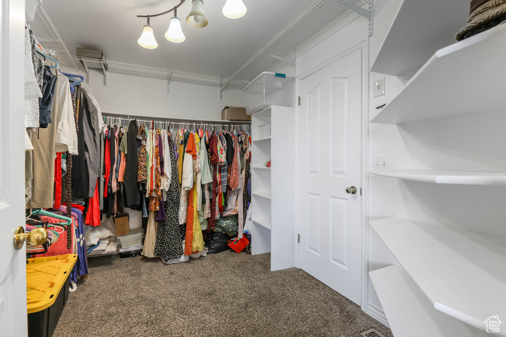 Walk in closet with carpet floors
