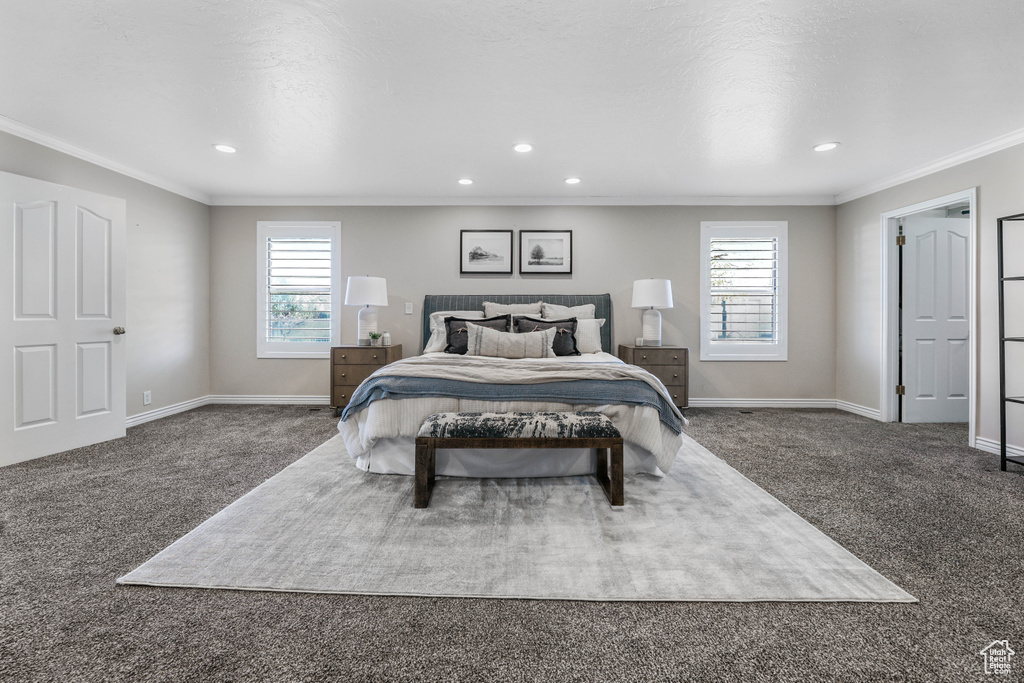 Bedroom with carpet floors, crown molding, multiple windows, and baseboards