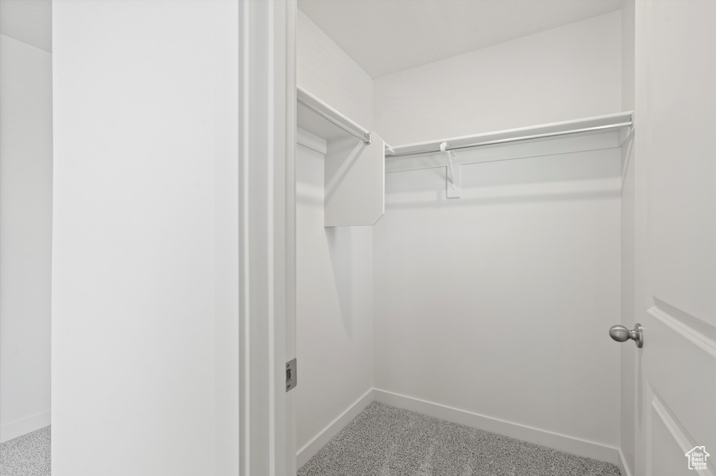 Spacious closet featuring carpet floors