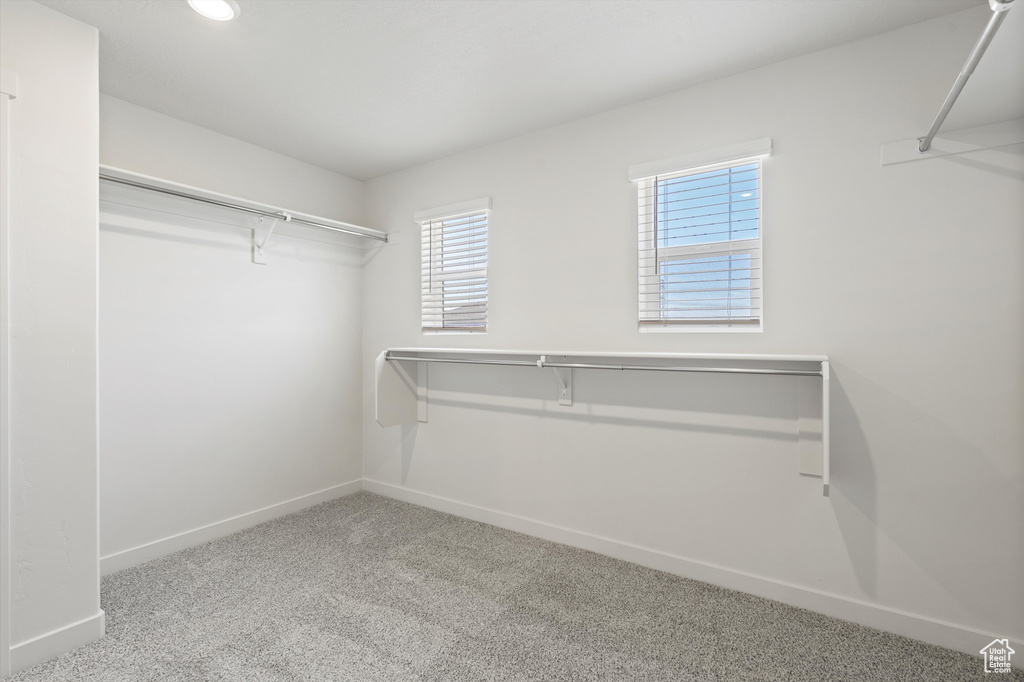 Spacious closet with carpet