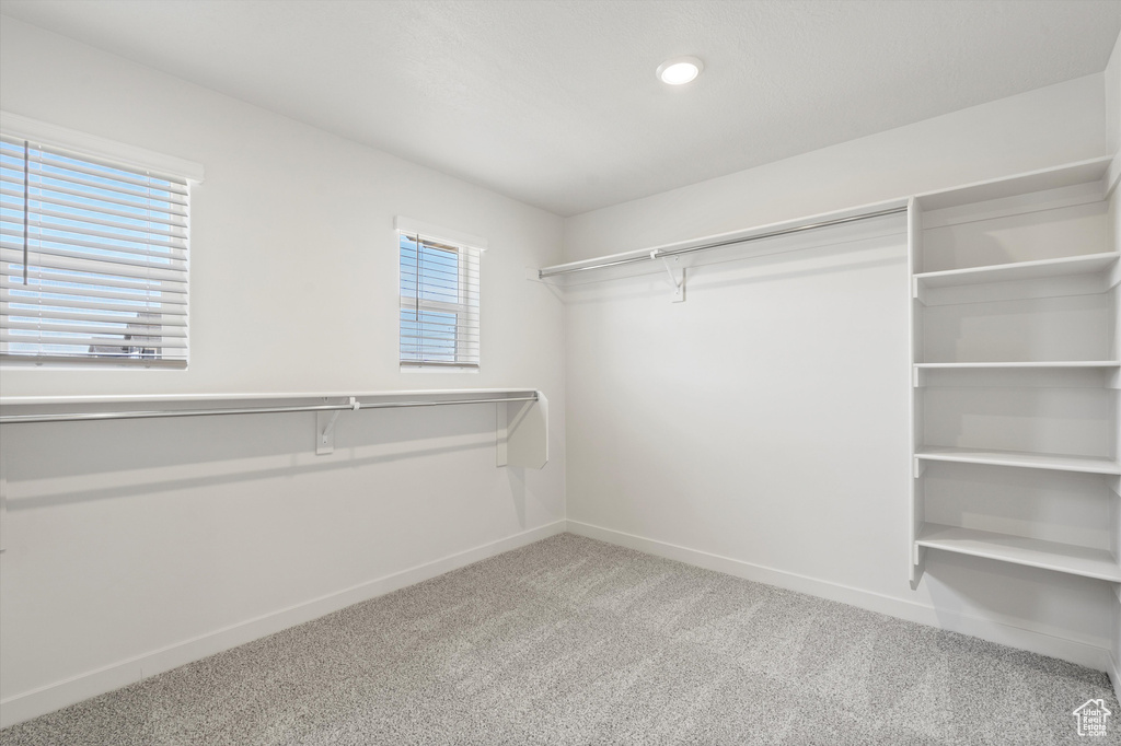 Walk in closet featuring carpet floors