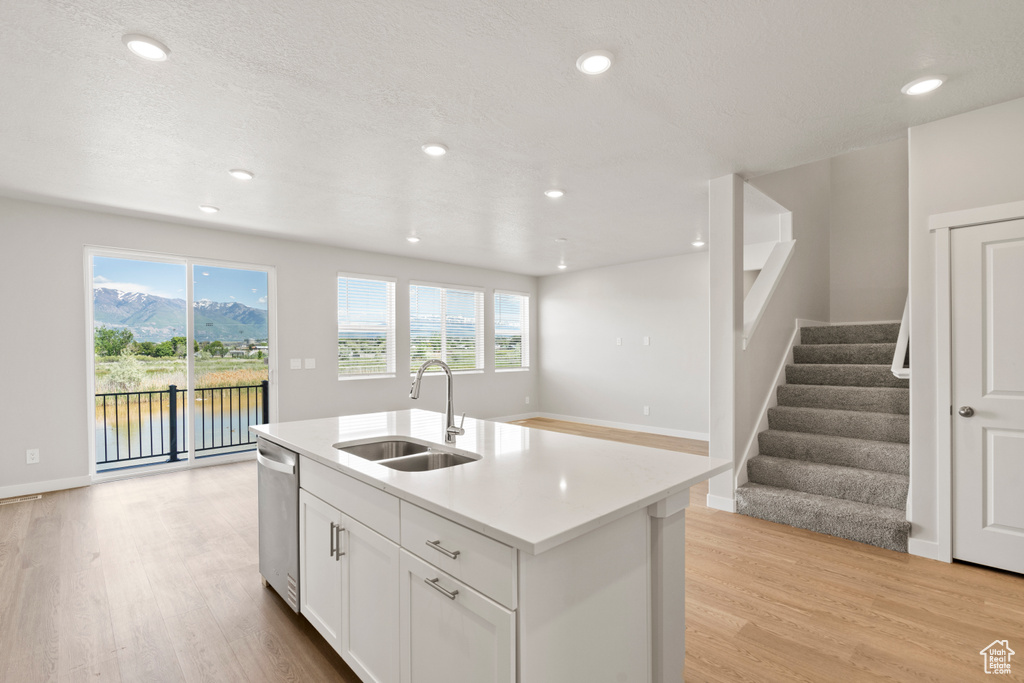 Kitchen with a sink, light wood-style flooring, stainless steel dishwasher, light countertops, and plenty of natural light