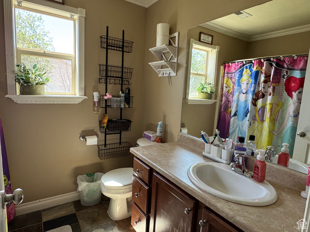Full bath featuring vanity, toilet, baseboards, and ornamental molding