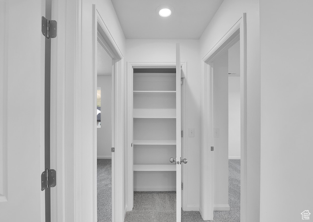 Walk in closet with carpet floors