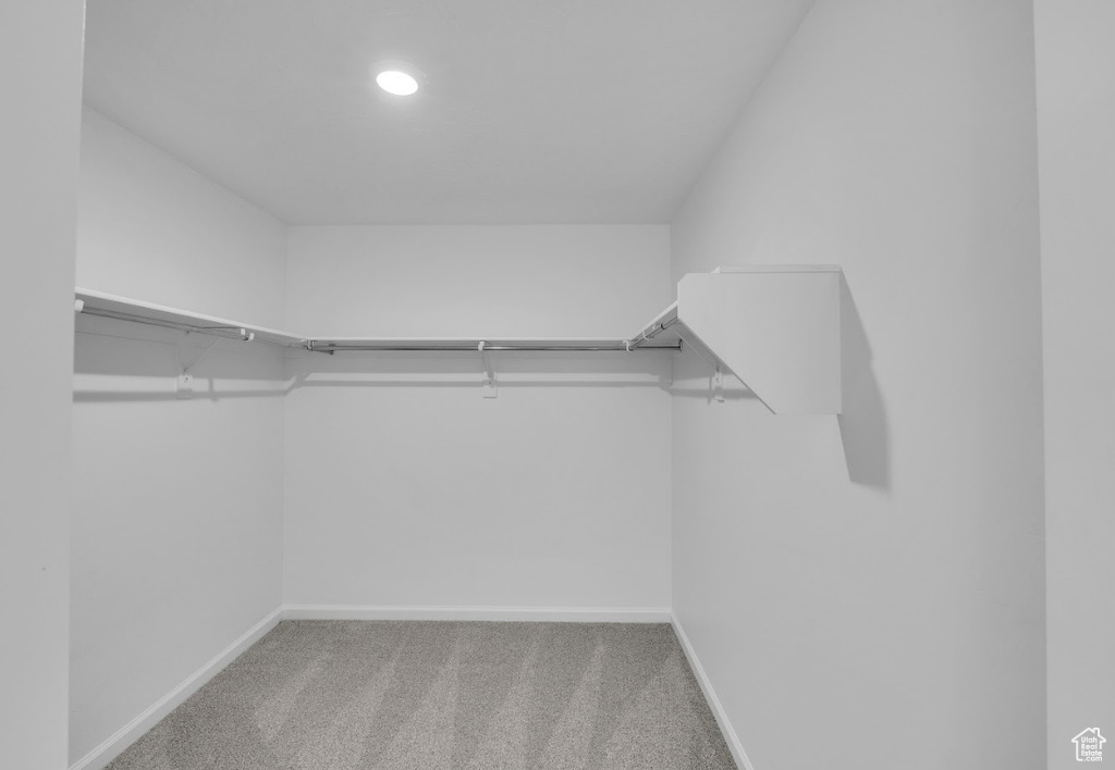 Spacious closet featuring carpet floors