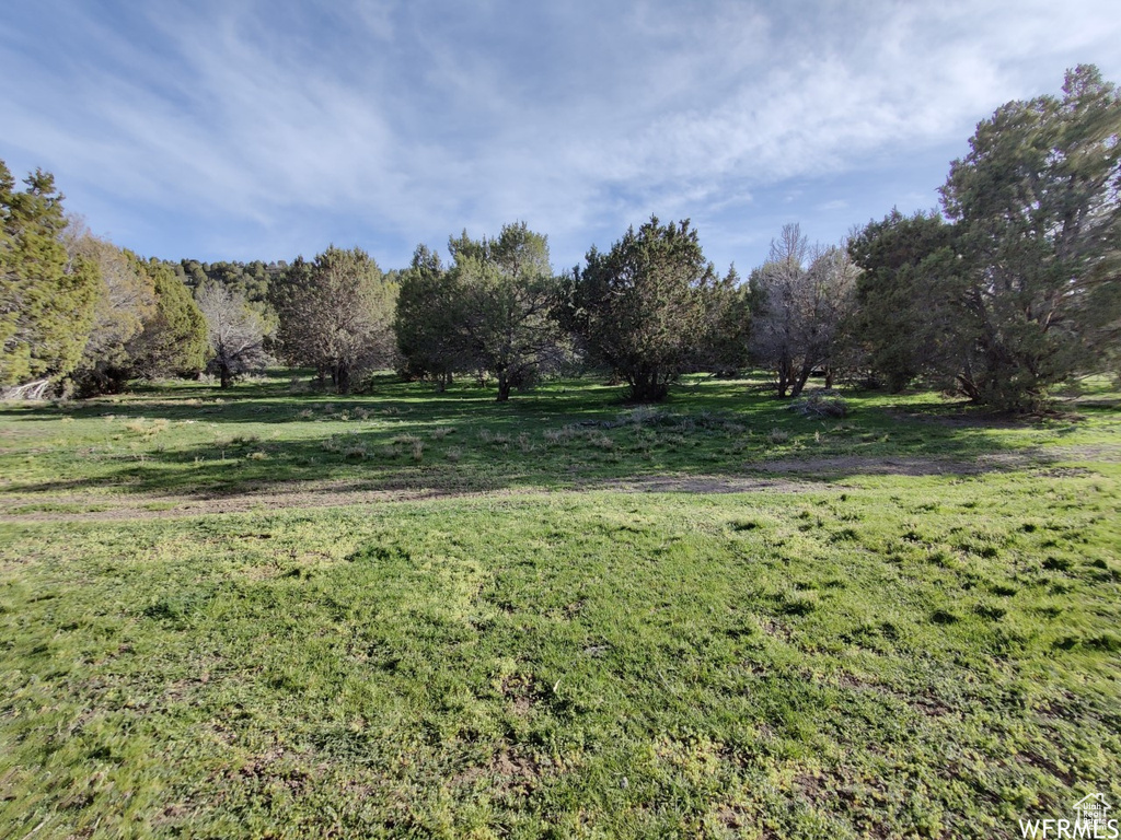 View of yard featuring a rural view