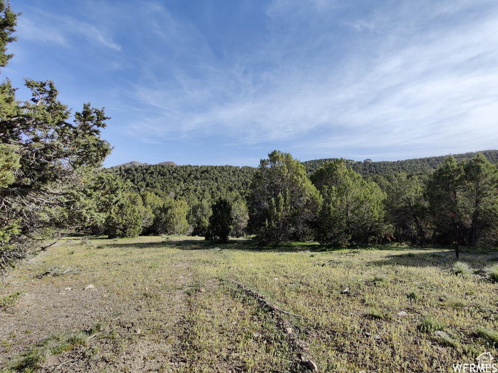 View of local wilderness featuring a forest view