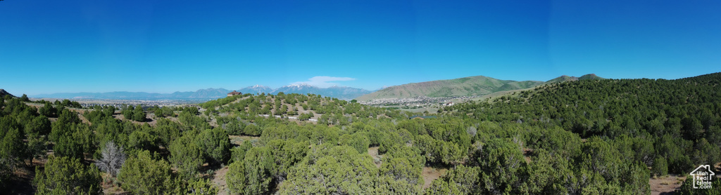 View of mountain backdrop with a forest