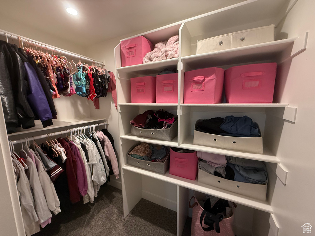 Spacious closet featuring carpet flooring