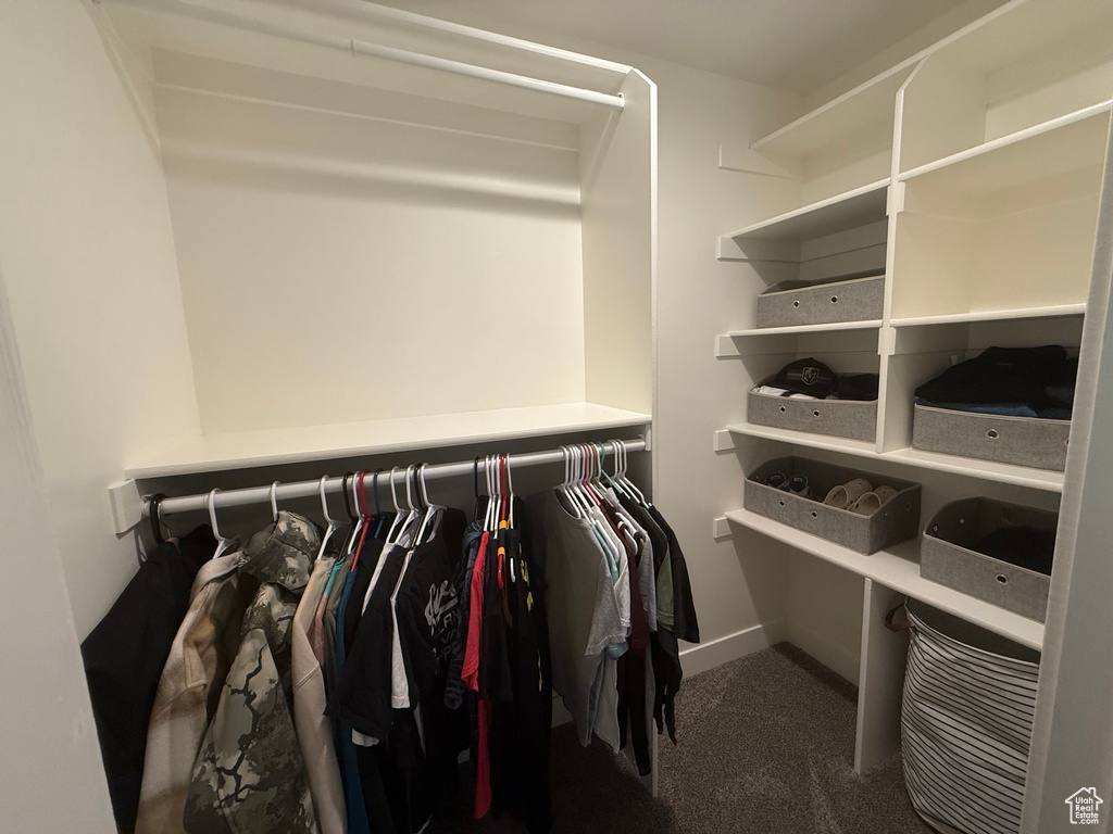 Walk in closet with carpet