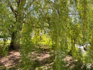 View of landscape with a wooded view