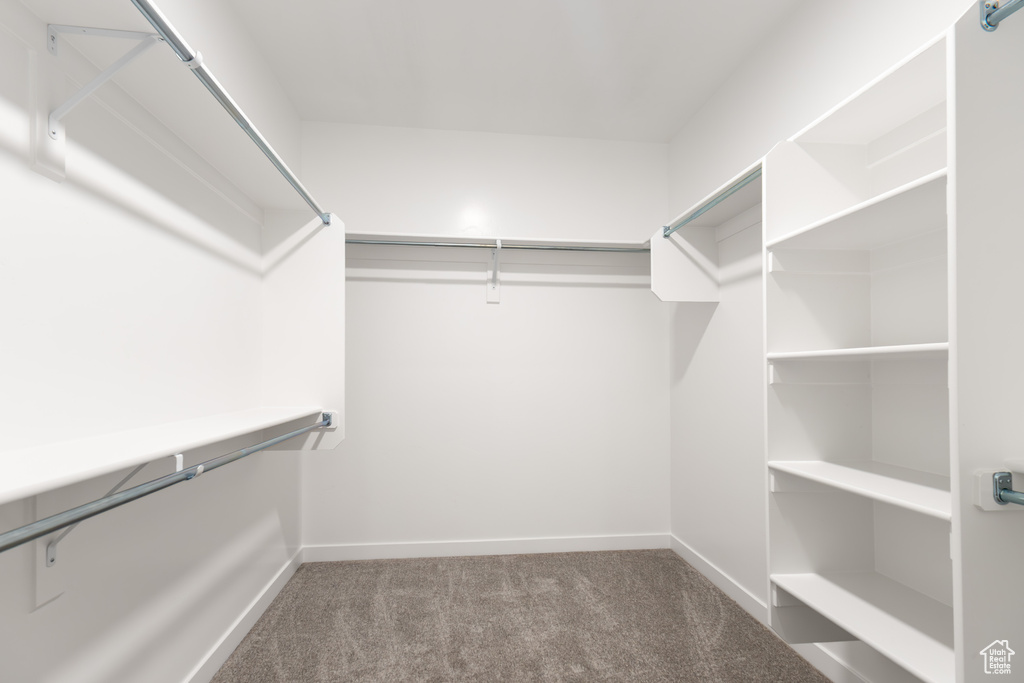 Spacious closet featuring carpet