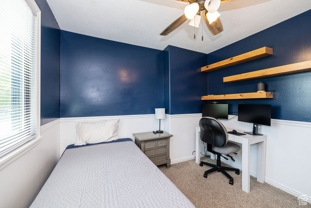 Bedroom with a wainscoted wall, carpet, and multiple windows