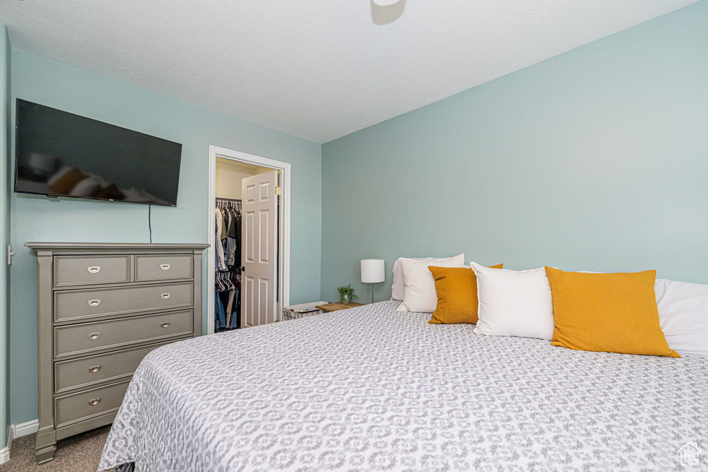 Carpeted bedroom featuring a spacious closet, baseboards, and a closet