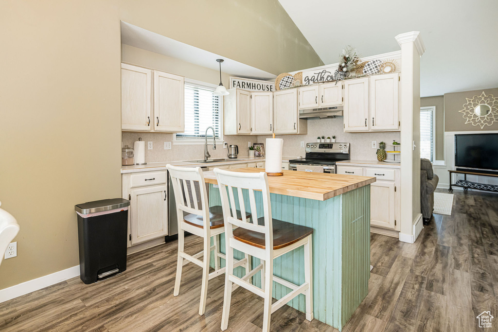 Kitchen featuring a sink, wood counters, electric range, under cabinet range hood, and dark wood-style floors