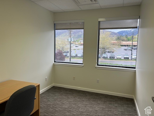 Interior space with baseboards, visible vents, a drop ceiling, and carpet
