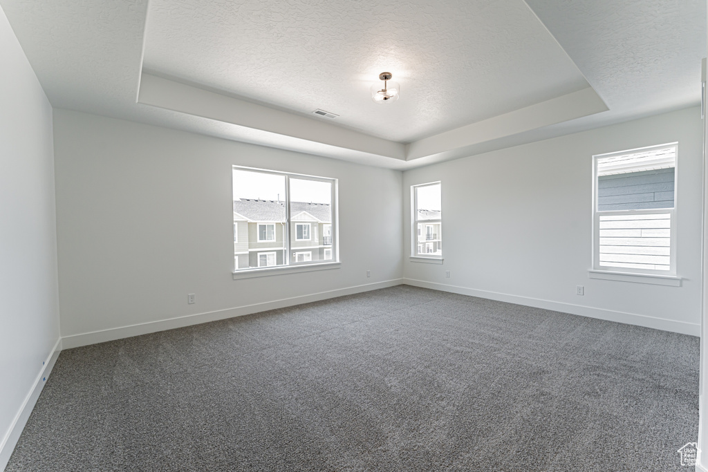Carpeted spare room featuring a raised ceiling and a textured ceiling