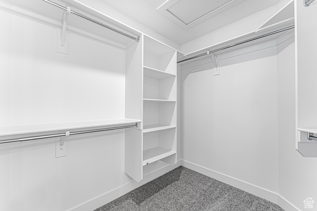 Walk in closet featuring dark colored carpet