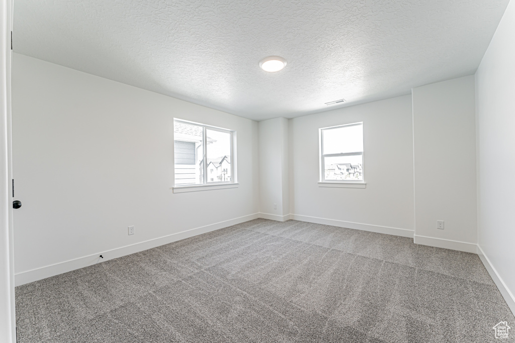 Spare room featuring plenty of natural light, light carpet, and a textured ceiling
